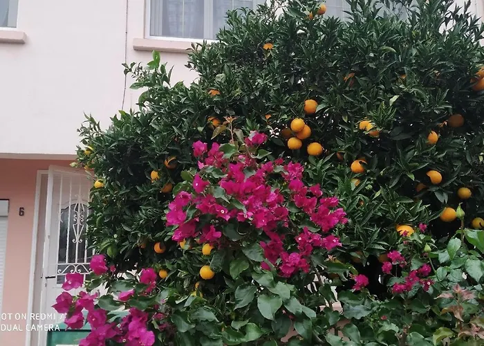 CHAMBRE SPACIEUSE CONFORTABLE,WIFI,Climatisée,près GARE TGV,parking,pt dejeuner